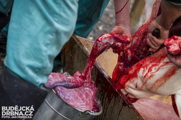 Masopust spojený se zabíjačkou v Boršově nad Vltavou