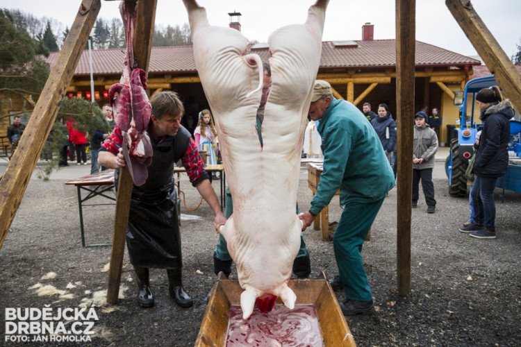 Masopust spojený se zabíjačkou v Boršově nad Vltavou