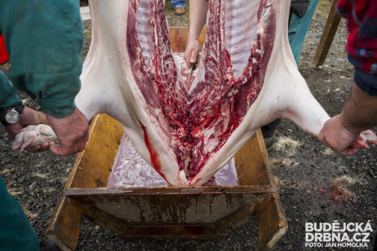 Masopust spojený se zabíjačkou v Boršově nad Vltavou