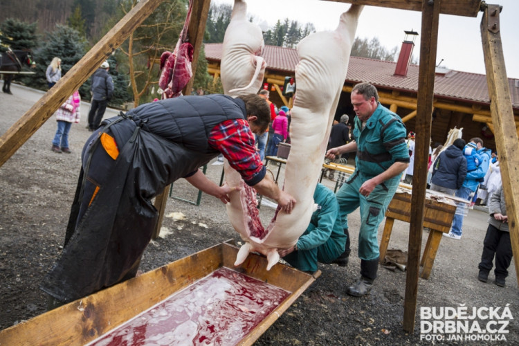 Masopust spojený se zabíjačkou v Boršově nad Vltavou