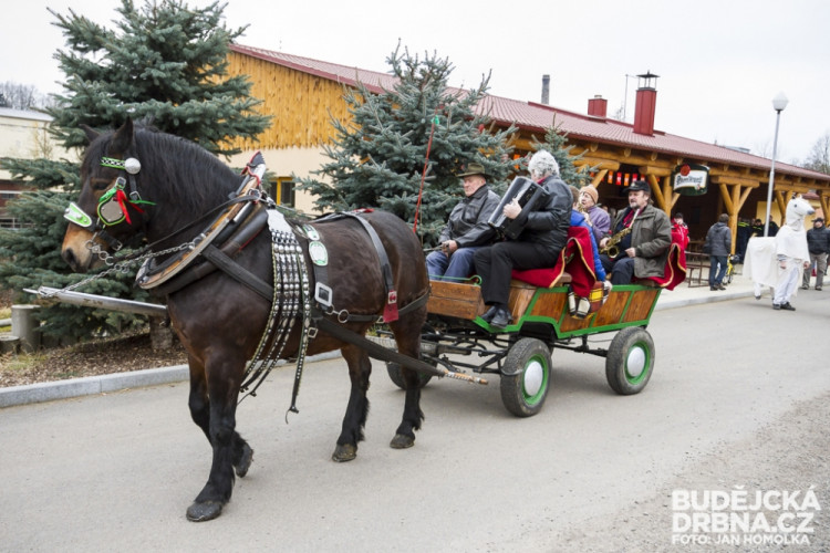 Masopust spojený se zabíjačkou v Boršově nad Vltavou