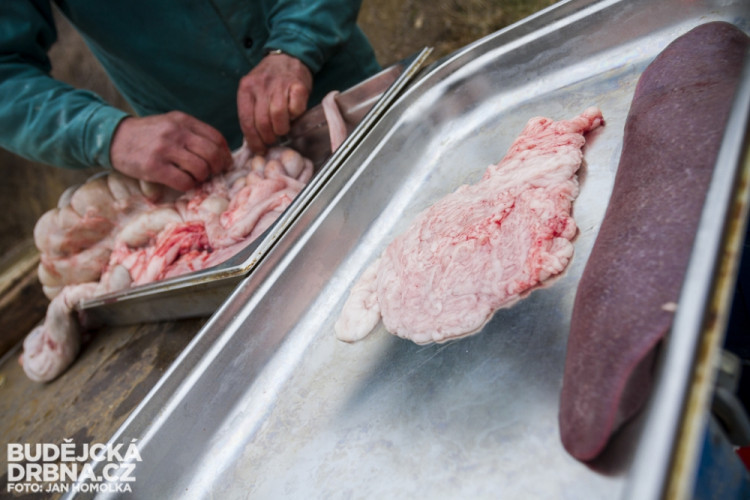 Masopust spojený se zabíjačkou v Boršově nad Vltavou