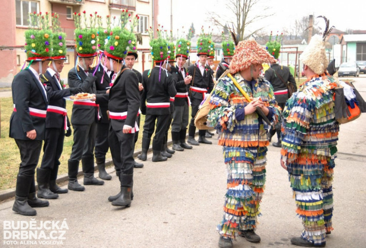 Jalovcoví koledníci