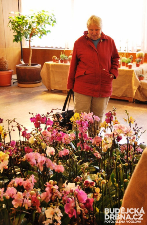 Odborní poradci vám řeknou, jak se o rostliny starat