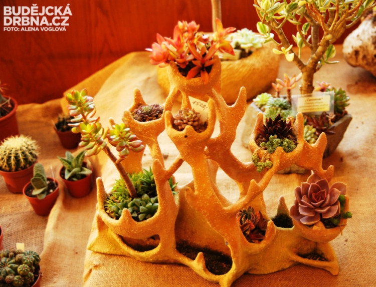 Výstava je i zdrojem inspirace