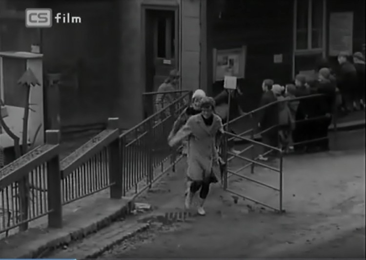 V 60.letech vstup do Zoo..