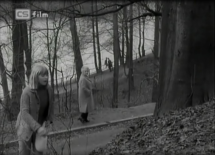 Nejprve jsem myslel, že to je Jezírko..