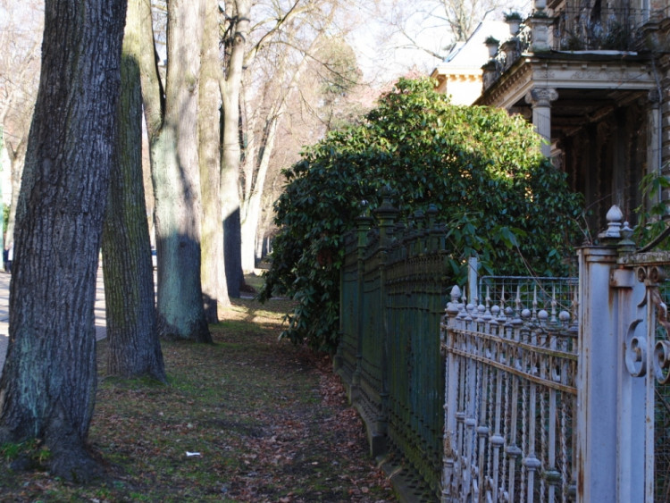 Masaryčka v roce 1967, takhle vypadá teď, stromy brzy nebudou
