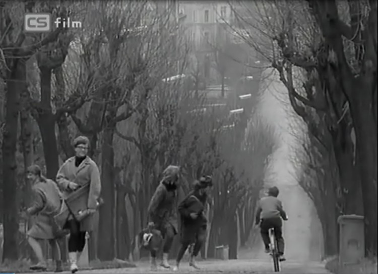 Ponáte? Ano, Vítězná uilce od Husovky