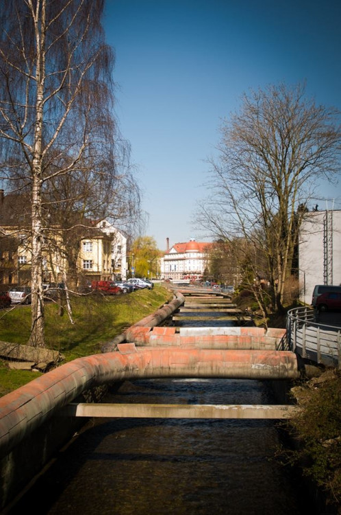 Prosluněný příchod jara do Liberce