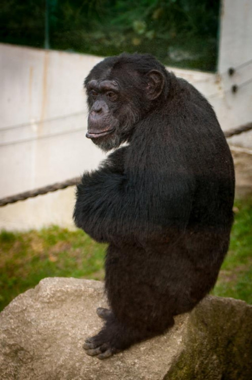 Liberecká zoologická zahrada se probudila ze zimního spánku
