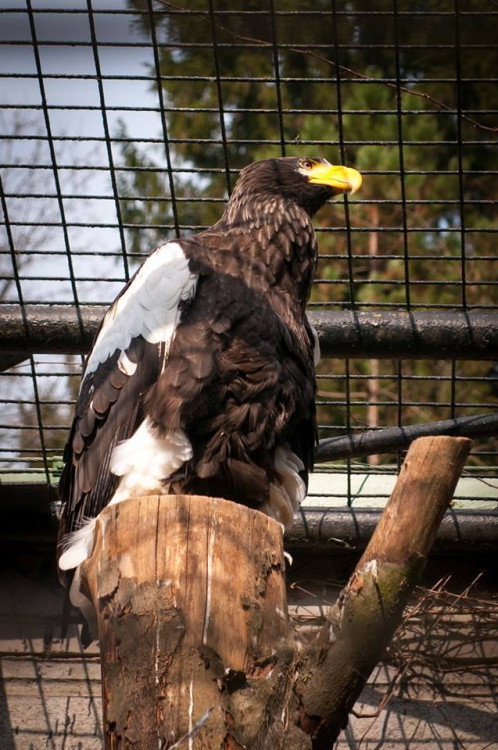 Liberecká zoologická zahrada se probudila ze zimního spánku