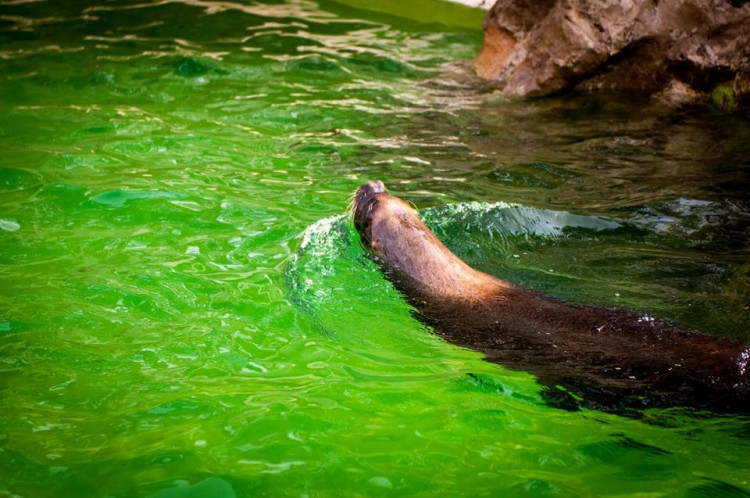 Liberecká zoologická zahrada se probudila ze zimního spánku