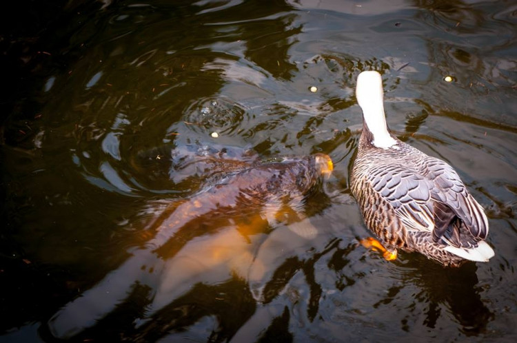 Liberecká zoologická zahrada se probudila ze zimního spánku