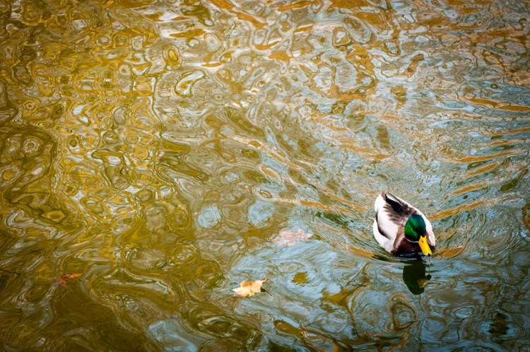Liberecká zoologická zahrada se probudila ze zimního spánku