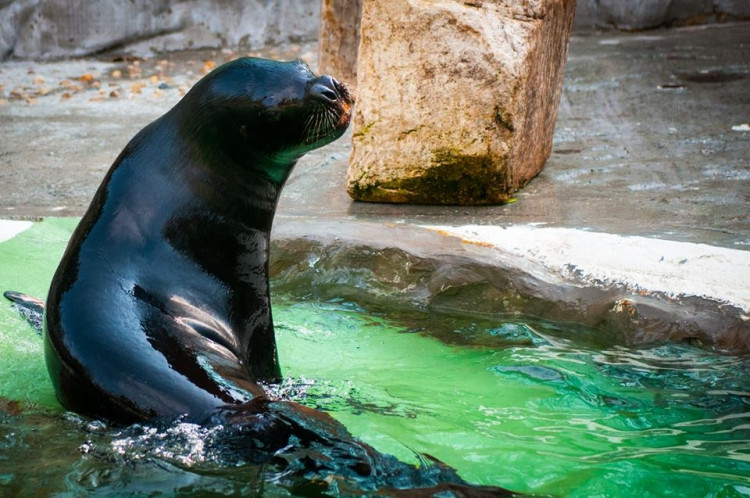 Liberecká zoologická zahrada se probudila ze zimního spánku