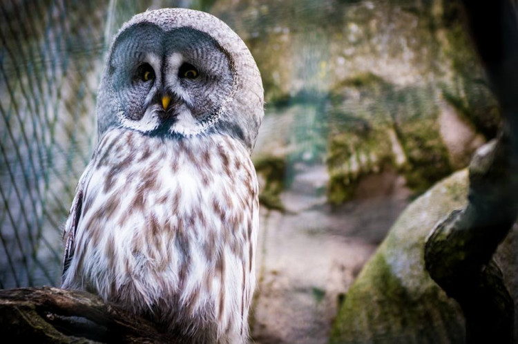 Liberecká zoologická zahrada se probudila ze zimního spánku