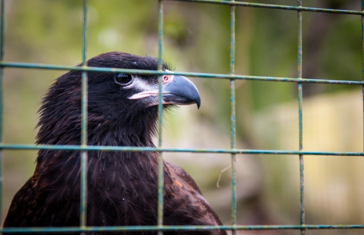 Liberecká zoologická zahrada se probudila ze zimního spánku