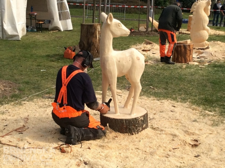 Na Techagru si lidé prohlédli i sochy ze dřeva, foto: Brněnská Drbna, David Zouhar