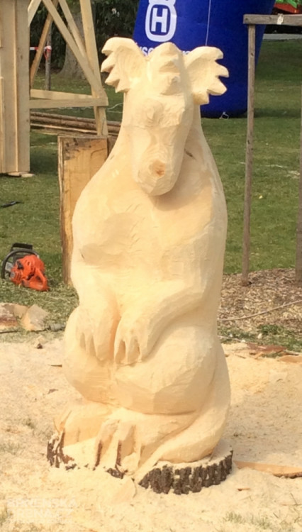 Na Techagru si lidé prohlédli i sochy ze dřeva, foto: Brněnská Drbna, David Zouhar