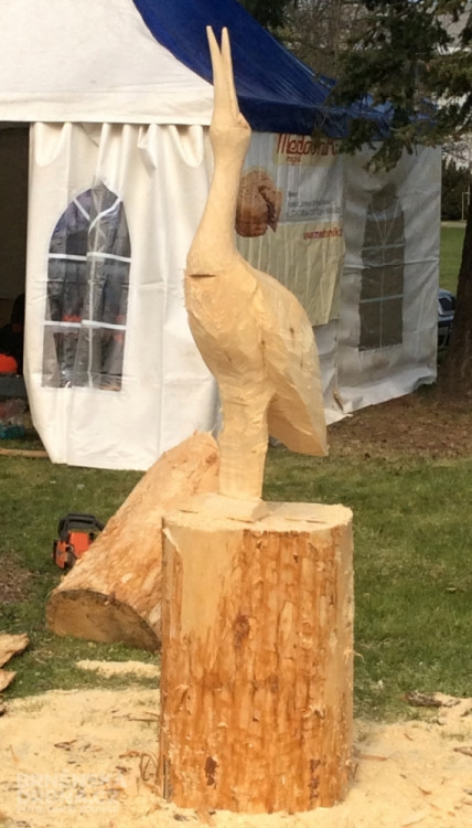 Na Techagru si lidé prohlédli i sochy ze dřeva, foto: Brněnská Drbna, David Zouhar