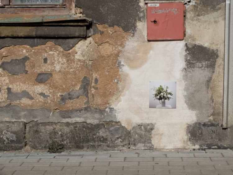 Fotografie na fasádě domu