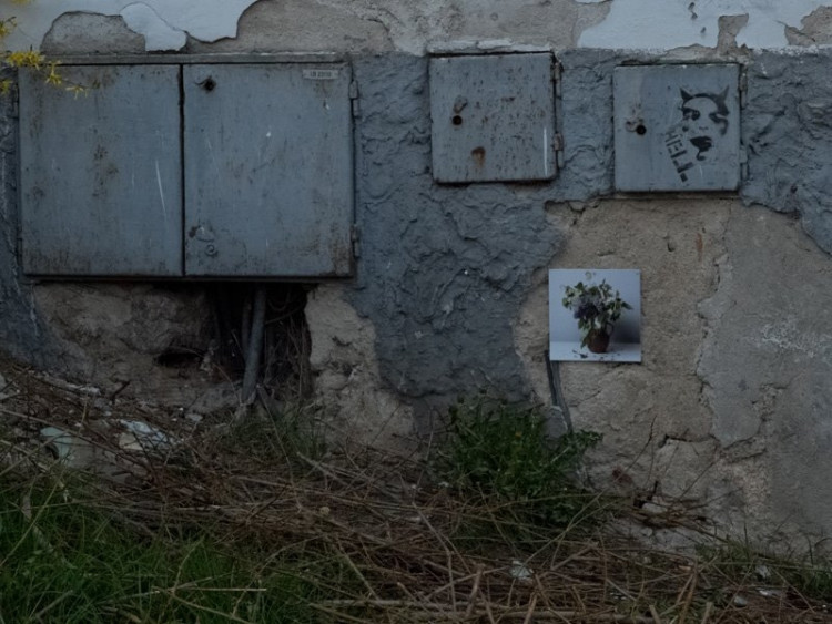 Fotografie zkrášlují fasády domů