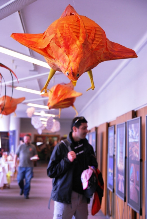 Drbnu zaujala zajímavá výzdoba