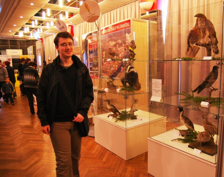 Nechyběla ukázka dravců