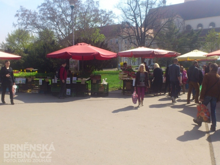 Prodejci se přesunuli na Moravské náměstí, foto: Brněnská Drbna, David Zouhar