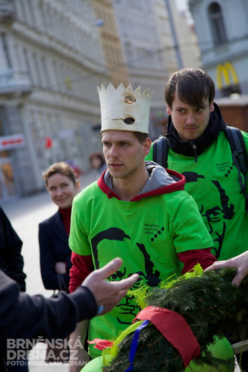 Brněnští studenti vztyčili na náměstí Svobody májku, foto: Brněnská Drbna, Miroslav Toman