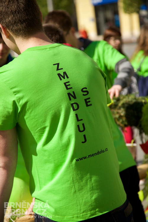 Brněnští studenti vztyčili na náměstí Svobody májku, foto: Brněnská Drbna, Miroslav Toman