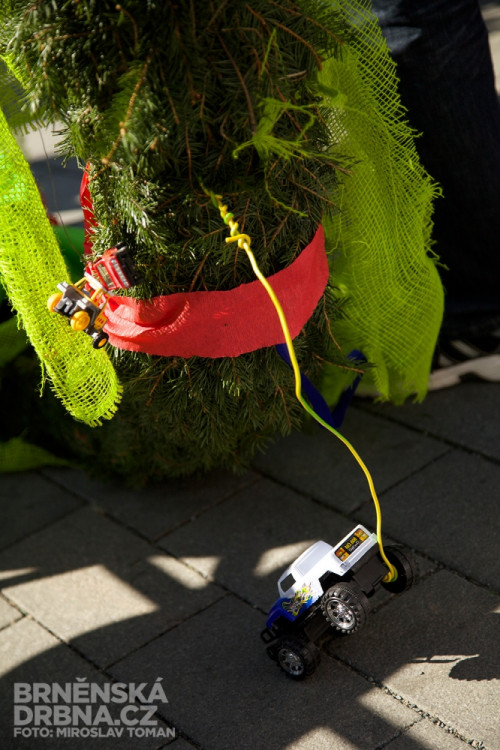 Brněnští studenti vztyčili na náměstí Svobody májku, foto: Brněnská Drbna, Miroslav Toman