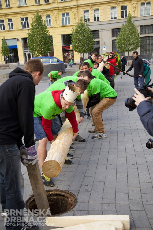 Brněnští studenti vztyčili na náměstí Svobody májku, foto: Brněnská Drbna, Miroslav Toman