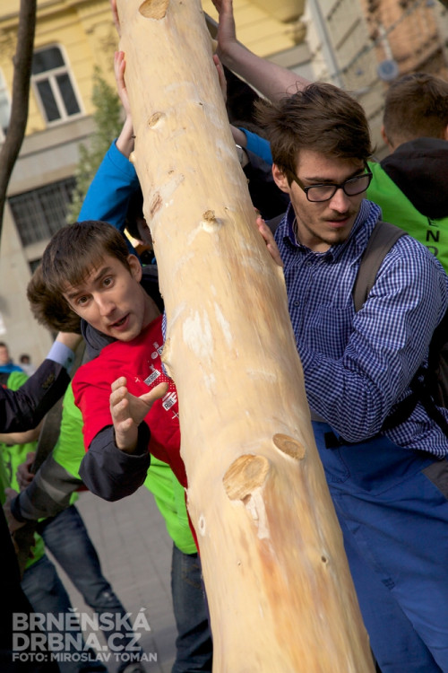 Brněnští studenti vztyčili na náměstí Svobody májku, foto: Brněnská Drbna, Miroslav Toman