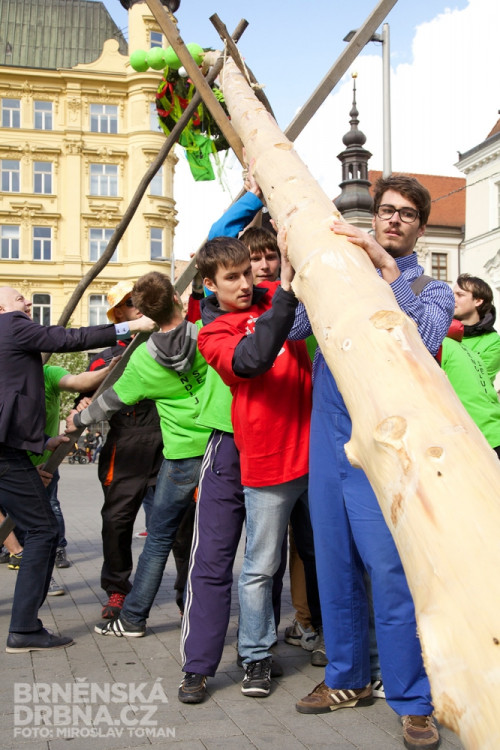 Brněnští studenti vztyčili na náměstí Svobody májku, foto: Brněnská Drbna, Miroslav Toman