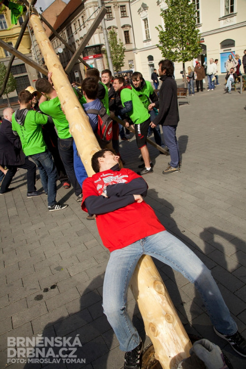 Brněnští studenti vztyčili na náměstí Svobody májku, foto: Brněnská Drbna, Miroslav Toman