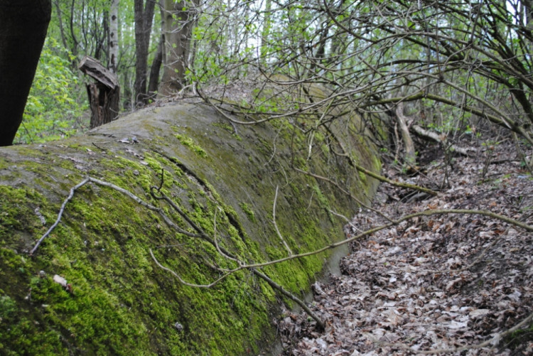 12. Dálniční propustek stále odvádí vodu s polí