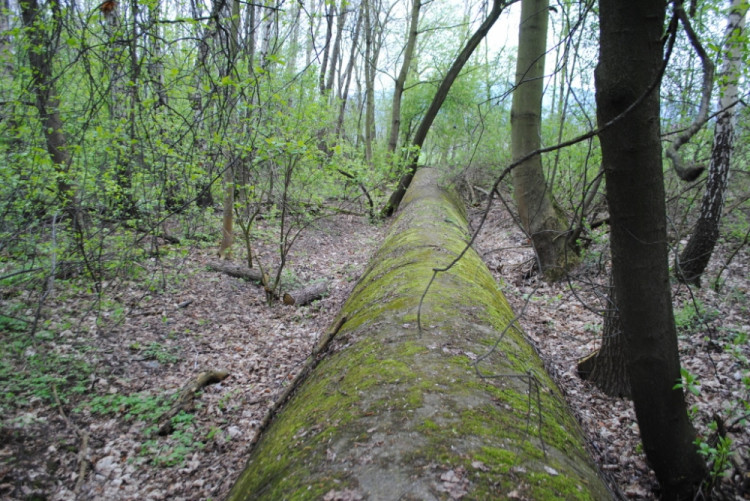 11. Nejzachovalejší část dálnice v Liberci