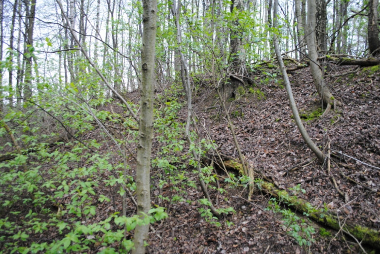 9. Karlovská cesta a násep mostu