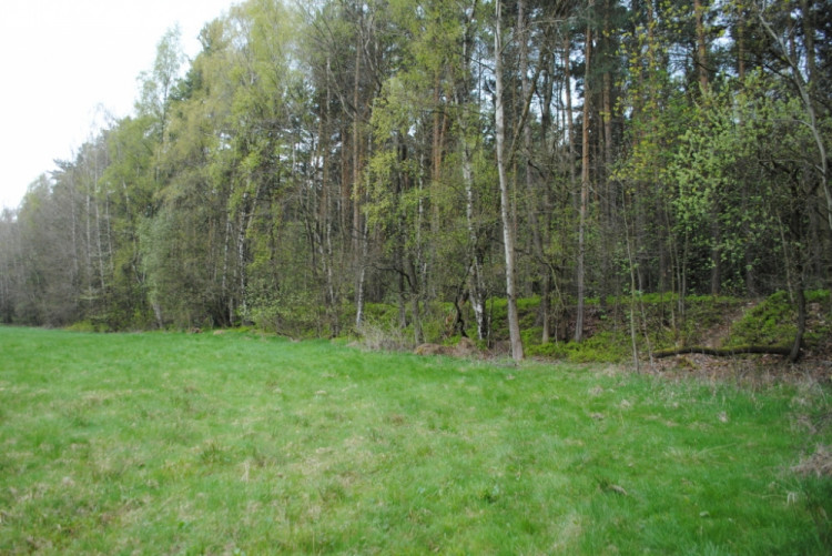 7. Krásně viditelný násep dálničního tělesa směrem ke Spáleništi