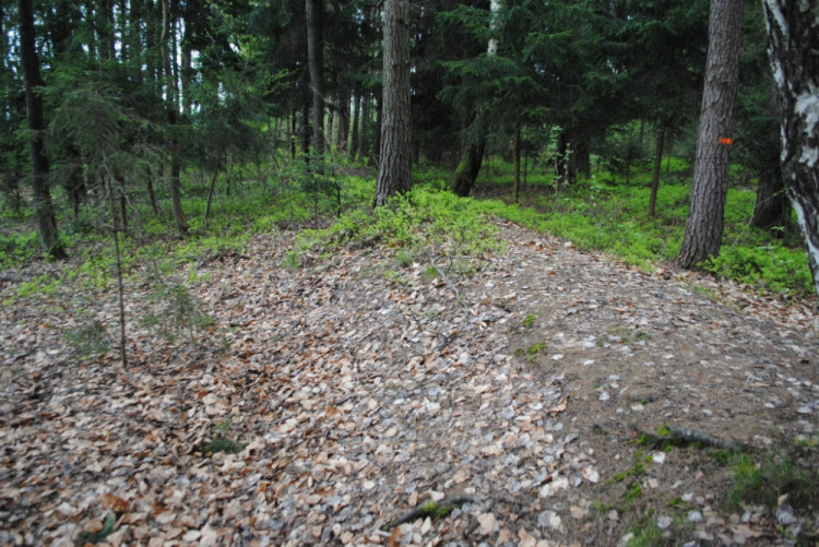 5. Dálniční těleso směrem ke Spáleništi