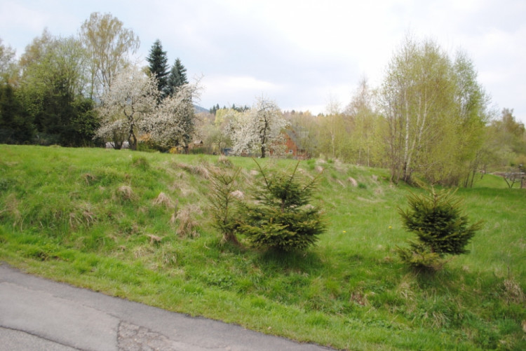 3. Dálniční těleso od zahrádek směrem do Karlova