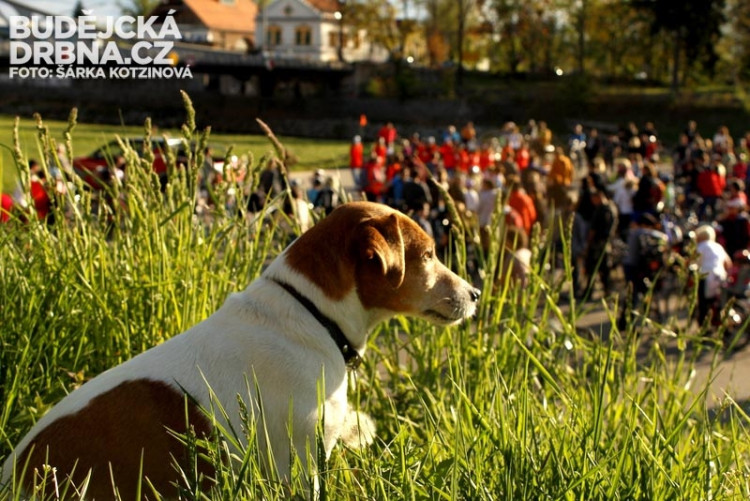 Velká jarní cyklojízda 2014