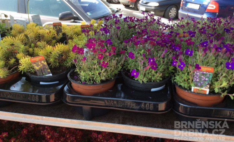 Stavební veletrhy zaplnily pavilony brněnského výstaviště, foto: Brněnská Drbna, David Zouhar