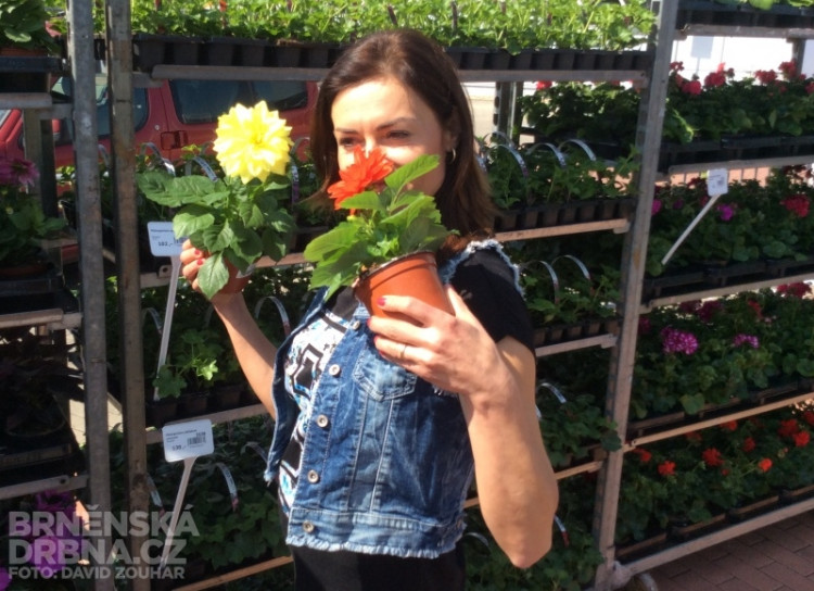 Hanka Kynychová si na výstavišti vybrala nové květiny do zahrady, foto: Brněnská Drbna, David Zouhar
