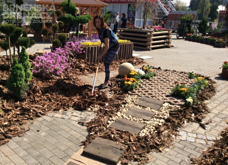 Hanka Kynychová na výstavišti zasadila květinu, foto: Brněnská Drbna, David Zouhar