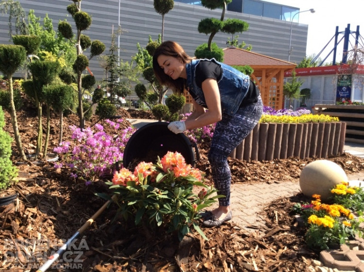 Hanka Kynychová na výstavišti zasadila květinu, foto: Brněnská Drbna, David Zouhar