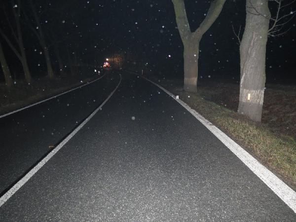 Pleše, 14. ledna 2014