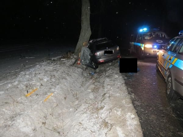 Strážkovice, 30. ledna 2014